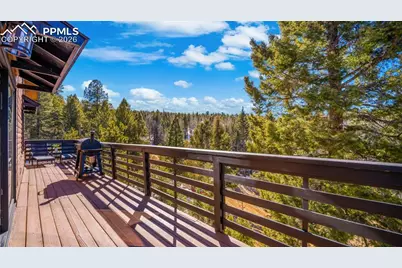 104 Mt Elbert Drive, Florissant, CO 80816 - Photo 23