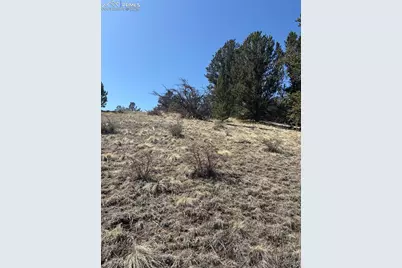 70 Brown Bear Lane, Cripple Creek, CO 80813 - Photo 5