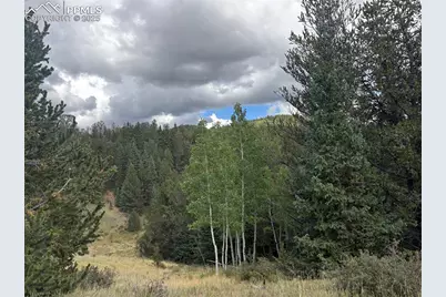 70 Brown Bear Lane, Cripple Creek, CO 80813 - Photo 3