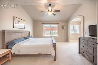 8165 Foxtail Pine Place, Colorado Springs, CO 80927 - Photo 19