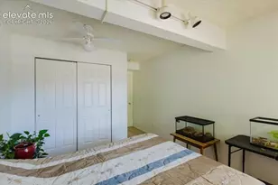 6345 Naturita Trail, Colorado Springs, CO 80922 - Photo 13