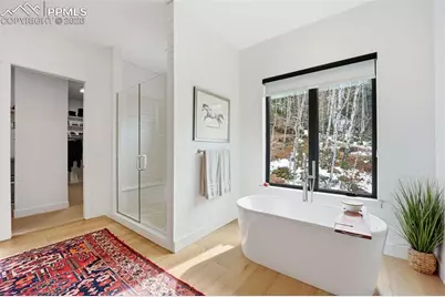 1005 Locklin Way, Woodland Park, CO 80863 - Photo 19