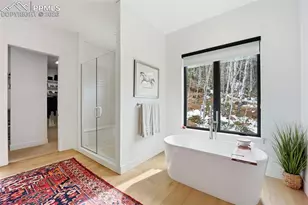 1005 Locklin Way, Woodland Park, CO 80863 - Photo 19