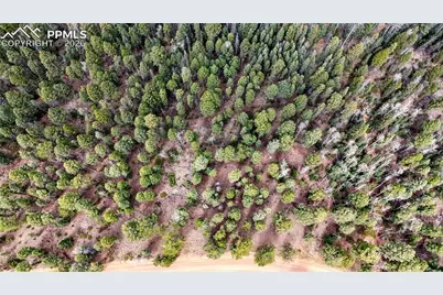 2151 N Mountain Estates Road, Florissant, CO 80816 - Photo 11