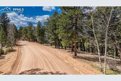 2151 N Mountain Estates Road, Florissant, CO 80816 - Photo 19