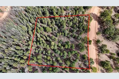 2151 N Mountain Estates Road, Florissant, CO 80816 - Photo 3