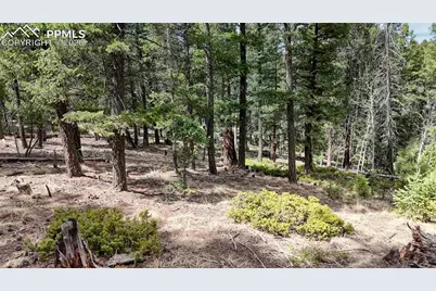 2151 N Mountain Estates Road, Florissant, CO 80816 - Photo 25