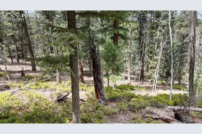 2151 N Mountain Estates Road, Florissant, CO 80816 - Photo 9