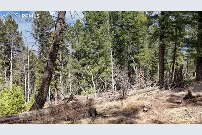 2151 N Mountain Estates Road, Florissant, CO 80816 - Photo 7