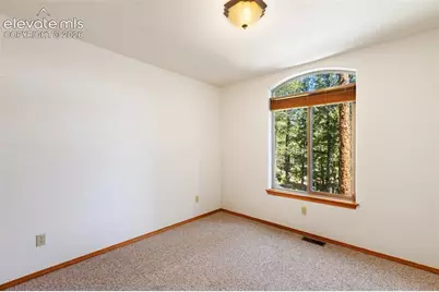 1233 Spruce Ridge Lane, Woodland Park, CO 80863 - Photo 29