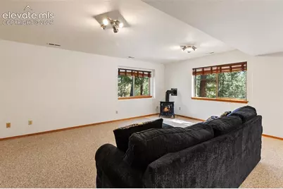 1233 Spruce Ridge Lane, Woodland Park, CO 80863 - Photo 33
