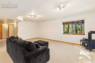1233 Spruce Ridge Ln, Woodland Park, CO 80863 - Photo 35