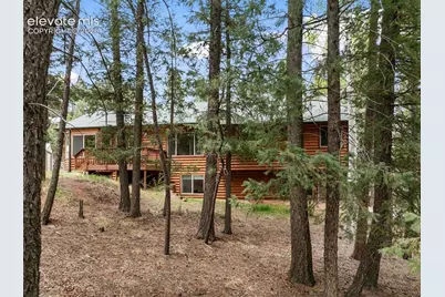 1233 Spruce Ridge Lane, Woodland Park, CO 80863 - Photo 3