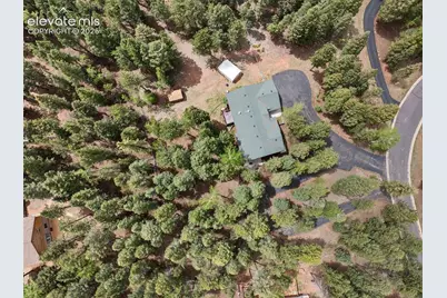 1233 Spruce Ridge Lane, Woodland Park, CO 80863 - Photo 9