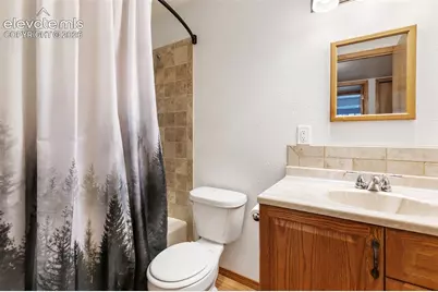 1233 Spruce Ridge Lane, Woodland Park, CO 80863 - Photo 37