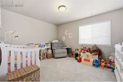 6867 Oak Vine Court, Colorado Springs, CO 80908 - Photo 15