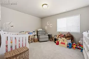 6867 Oak Vine Ct, Colorado Springs, CO 80908 - Photo 15