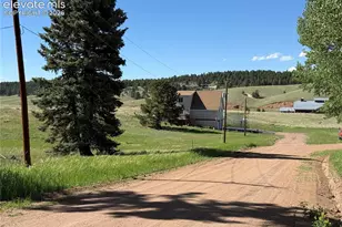 61 Stripling Ln, Divide, CO 80814 - Photo 5