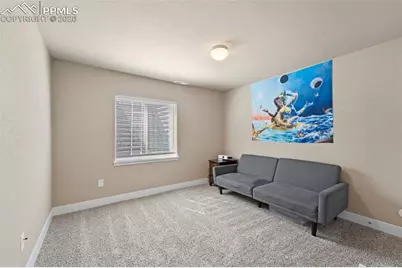 2972 Namib Drive, Colorado Springs, CO 80939 - Photo 35