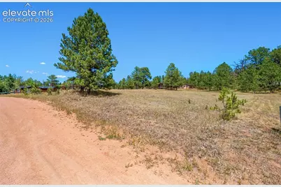 91 Adair Circle, Florissant, CO 80816 - Photo 5