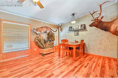 271 Circle Drive, Florissant, CO 80816 - Photo 17