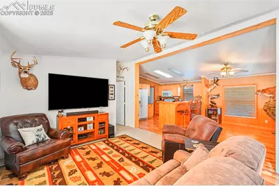 271 Circle Drive, Florissant, CO 80816 - Photo 13