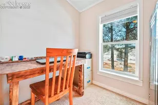 271 Circle Dr, Florissant, CO 80816 - Photo 29