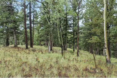 131 Lost Lake Circle, Divide, CO 80814 - Photo 15