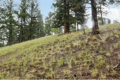 131 Lost Lake Circle, Divide, CO 80814 - Photo 21