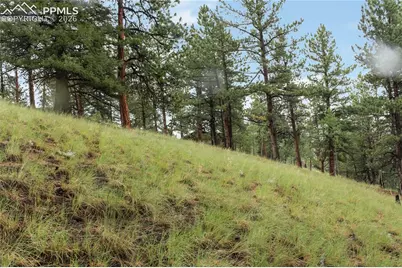 131 Lost Lake Circle, Divide, CO 80814 - Photo 7