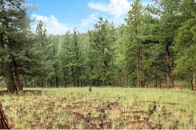 131 Lost Lake Circle, Divide, CO 80814 - Photo 17
