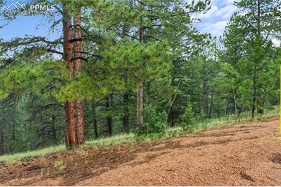 131 Lost Lake Circle, Divide, CO 80814 - Photo 5