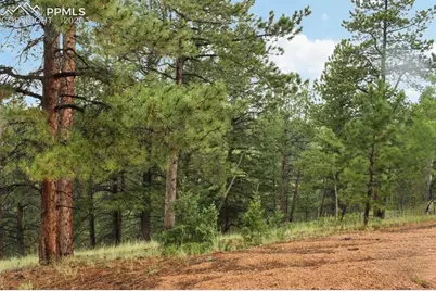 131 Lost Lake Circle, Divide, CO 80814 - Photo 23