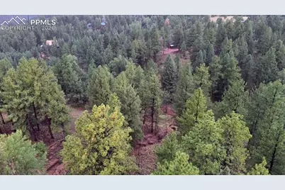 131 Lost Lake Circle, Divide, CO 80814 - Photo 11