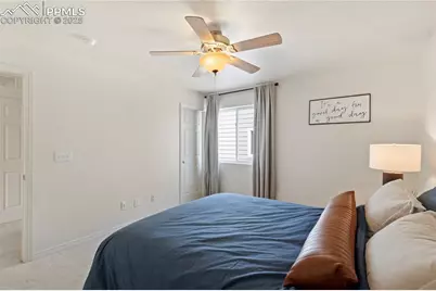 2245 Reed Grass Way, Colorado Springs, CO 80915 - Photo 29