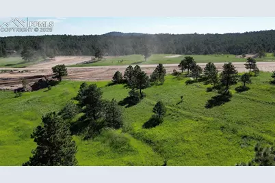 17629 Emerson Cliff Court, Colorado Springs, CO 80908 - Photo 3