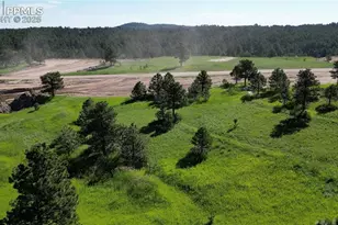 17629 Emerson Clf Ct, Colorado Springs, CO 80908 - Photo 3