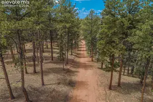 46 Kingston Cir, Florissant, CO 80816 - Photo 49
