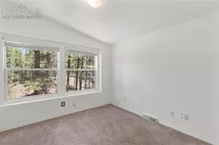 46 Kingston Cir, Florissant, CO 80816 - Photo 21