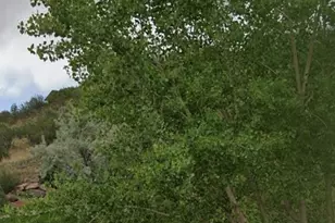 1223 Ethereal Cir, Colorado Springs, CO 80904 - Photo 1