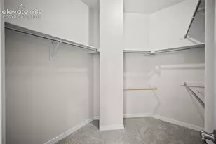 9829 Treelake Dr, Colorado Springs, CO 80920 - Photo 21