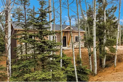 1279 N Mountain Estates Road, Florissant, CO 80816 - Photo 3