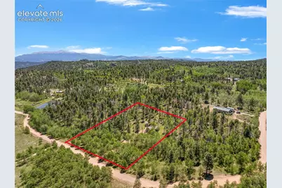 173 Deerview Drive, Florissant, CO 80816 - Photo 23