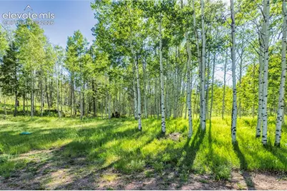 173 Deerview Drive, Florissant, CO 80816 - Photo 25
