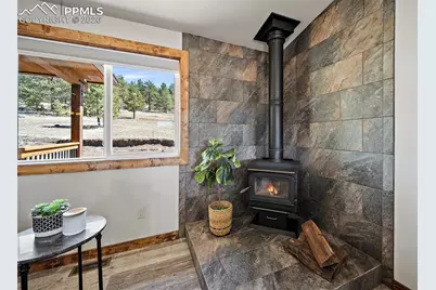 186 Empire Road, Florissant, CO 80816 - Photo 13