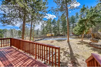 1005 W Browning Avenue, Woodland Park, CO 80863 - Photo 25