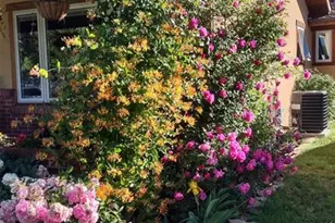 1714 W Boulder St, Colorado Springs, CO 80904 - Photo 3