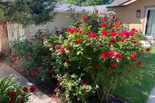 1714 W Boulder St, Colorado Springs, CO 80904 - Photo 5