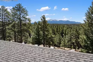 48 Walden Lake Circle, Divide, CO 80814 - Photo 47