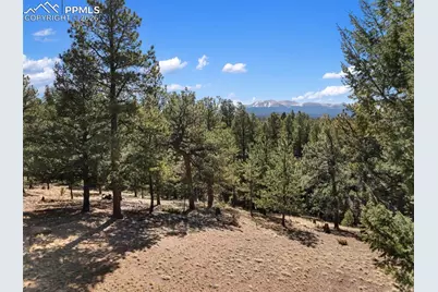 48 Walden Lake Circle, Divide, CO 80814 - Photo 9